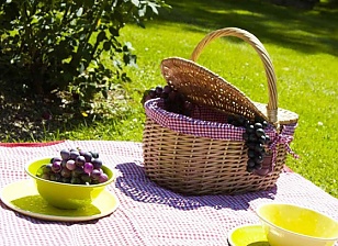  Cesta Picnic Vichy