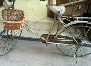  Cesta Bici